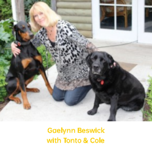 Gaelynn Beswick with Tonto & Cole